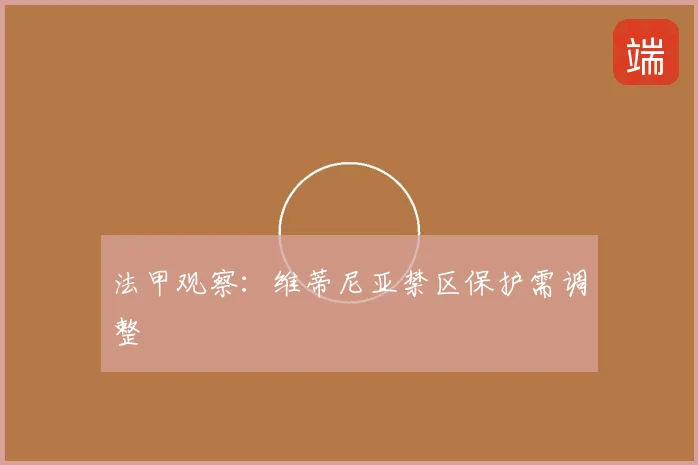 法甲观察:维蒂尼亚禁区保护需调整